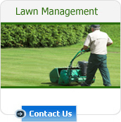 Lawn Management